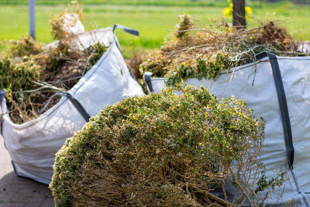 Debris Removal in Gladstone, OR